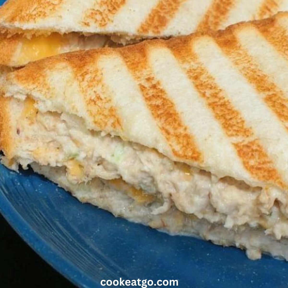 Tuna melted panini